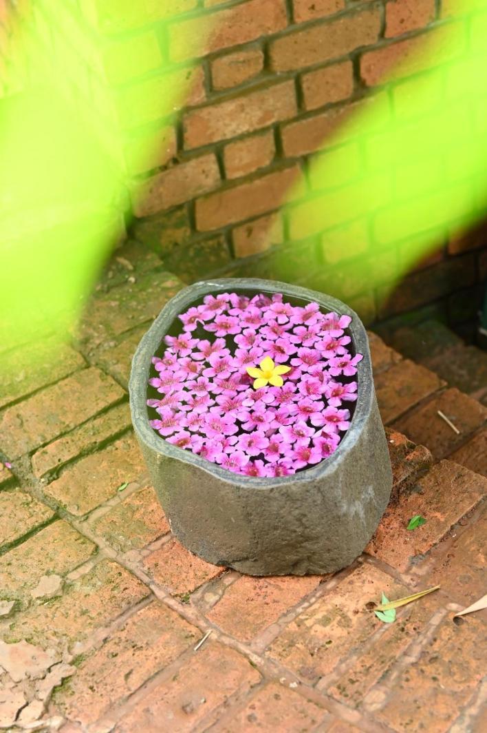 Bamboo And Bricks Resort Welhe エクステリア 写真